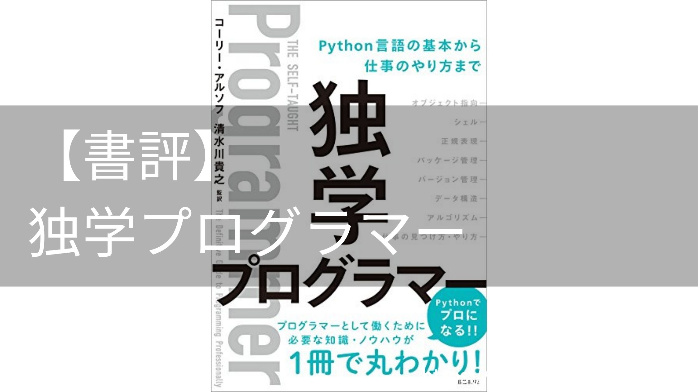 【書評】独学プログラマー Python言語の基本から仕事のやり方まで
