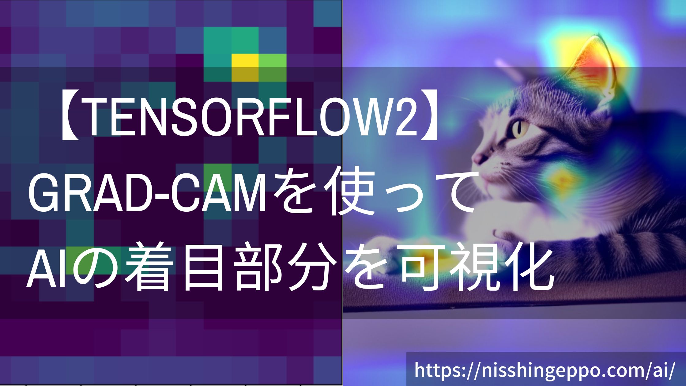 【TensorFlow2】Grad-CAMでAIが画像のどこに着目しているか可視化する