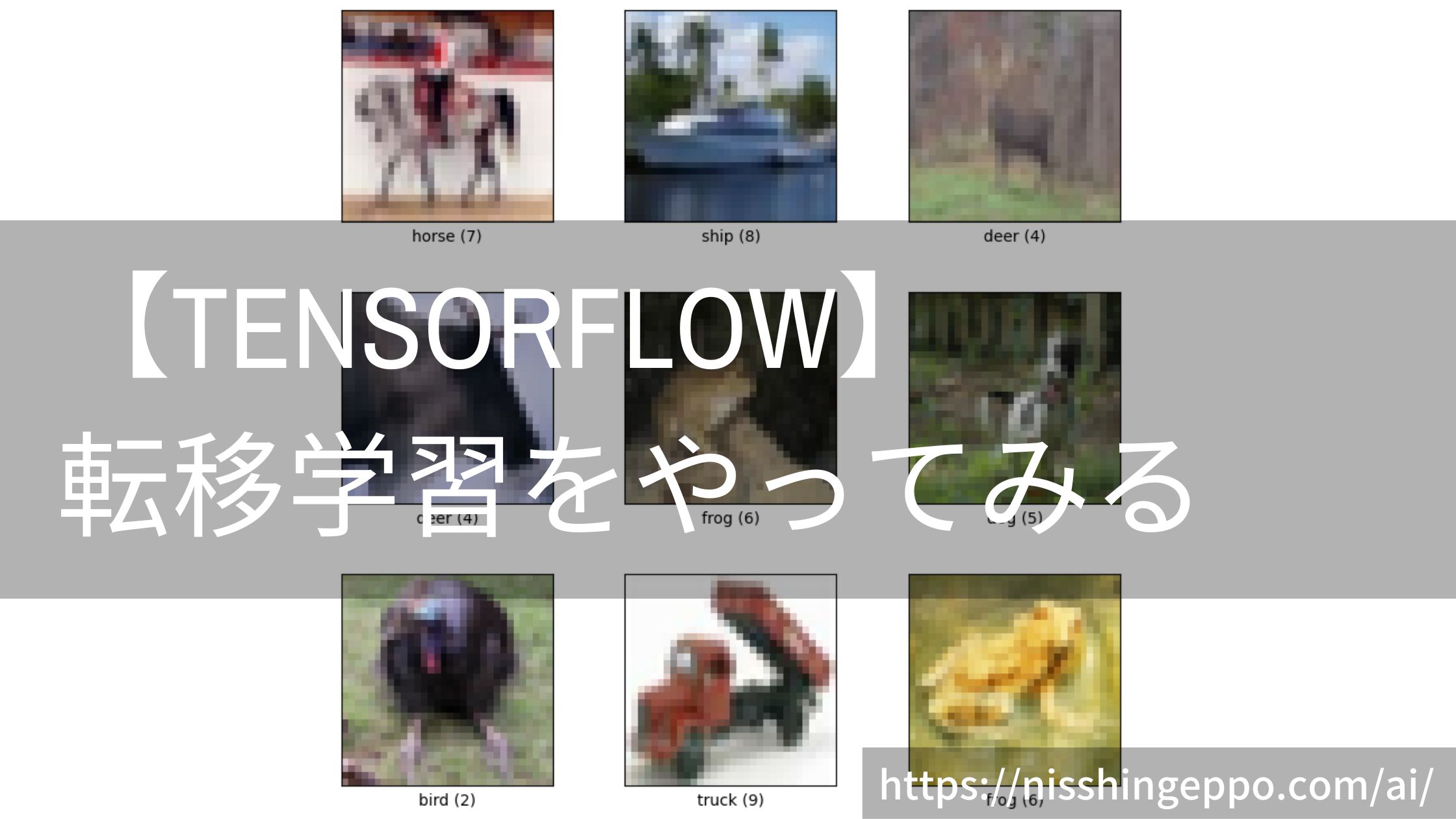 【TensorFlow】転移学習を使ったcifer10の画像分類をやってみる