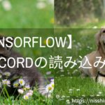 【Tensorflow2】TFRecordファイルを読み込む方法