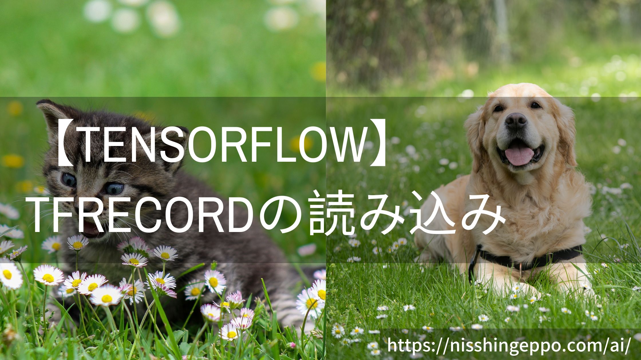 【Tensorflow2】TFRecordファイルを読み込む方法