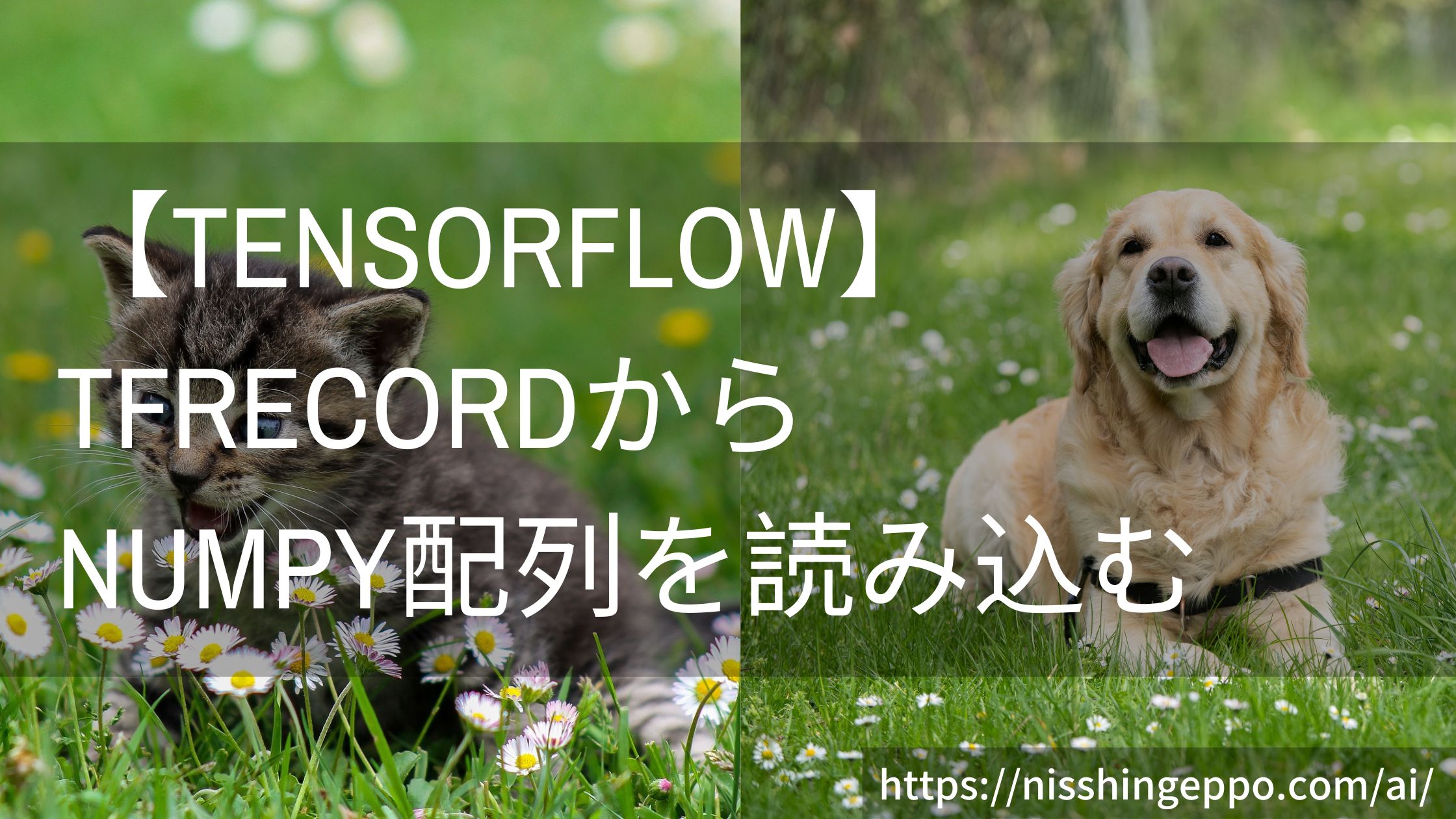 【Tensorflow2】TFRecordファイルからNumpyデータを読み込む