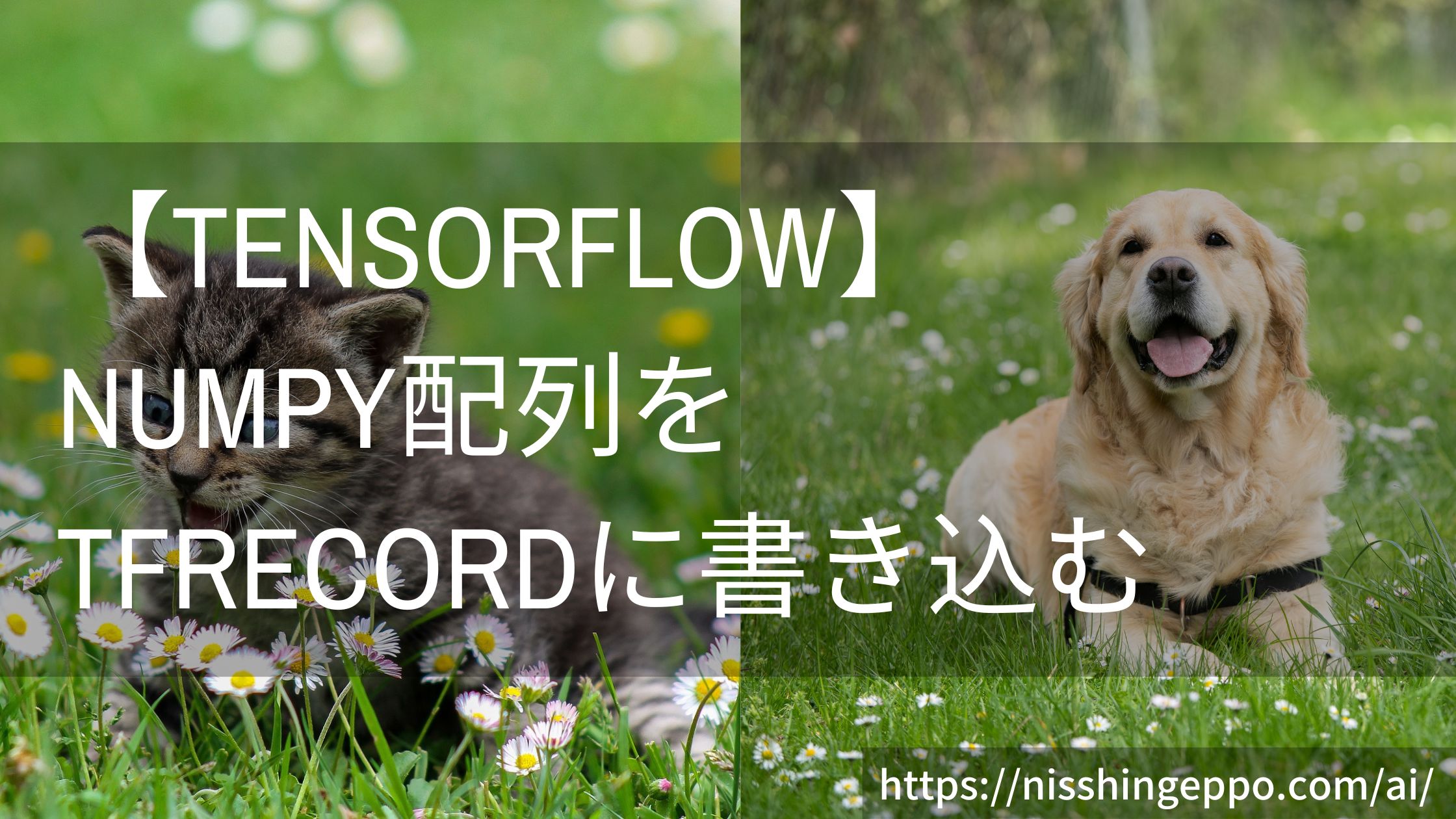 【Tensorflow2】numpy配列をTFRecord形式に書き込む方法
